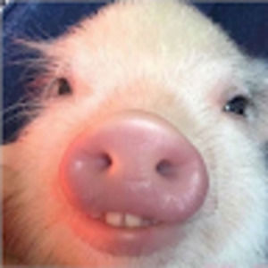 Meet your Posher, Eli